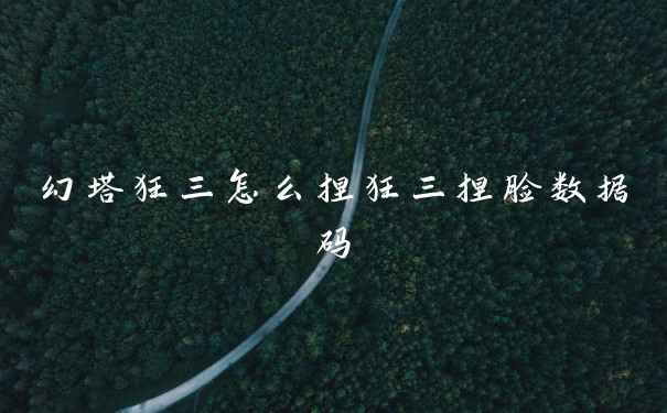 幻塔狂三怎么捏狂三捏脸数据码