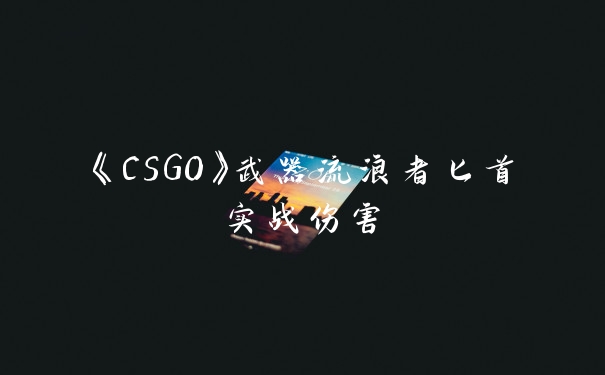 《CSGO》武器流浪者匕首实战伤害
