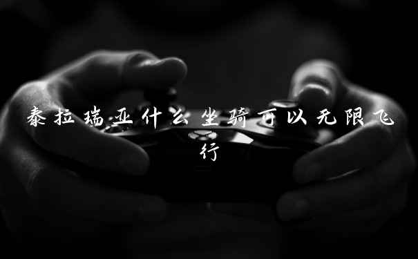 泰拉瑞亚什么坐骑可以无限飞行