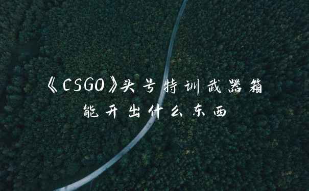 《CSGO》头号特训武器箱能开出什么东西