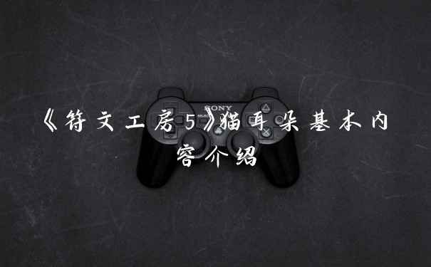 《符文工房5》猫耳朵基本内容介绍