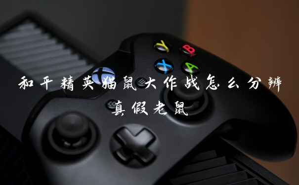和平精英猫鼠大作战怎么分辨真假老鼠