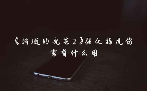 《消逝的光芒2》强化指虎伤害有什么用