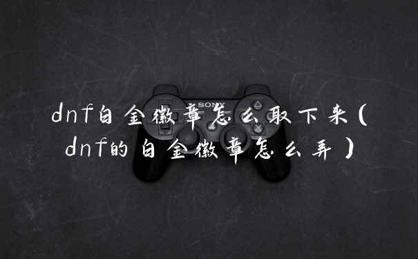 dnf白金徽章怎么取下来（dnf的白金徽章怎么弄）