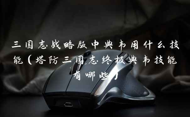 三国志战略版中典韦用什么技能（塔防三国志终极典韦技能有哪些）