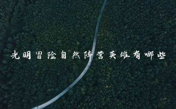 光明冒险自然阵营英雄有哪些