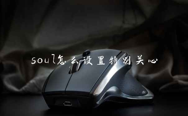 soul怎么设置特别关心