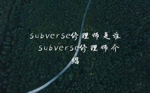 subverse修理师是谁 subverse修理师介绍