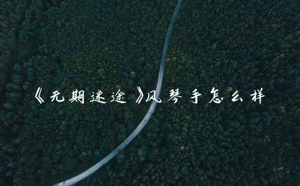 《无期迷途》风琴手怎么样