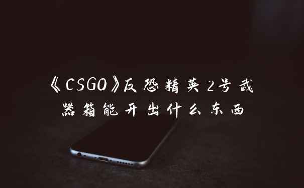 《CSGO》反恐精英2号武器箱能开出什么东西