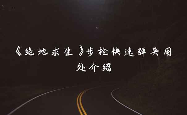 《绝地求生》步枪快速弹夹用处介绍