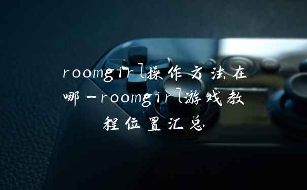 roomgirl操作方法在哪-roomgirl游戏教程位置汇总