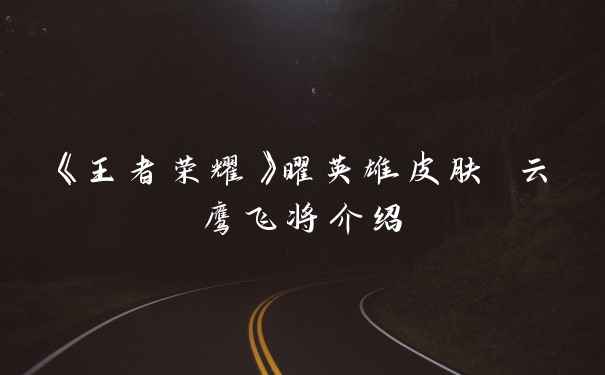 《王者荣耀》曜英雄皮肤 云鹰飞将介绍