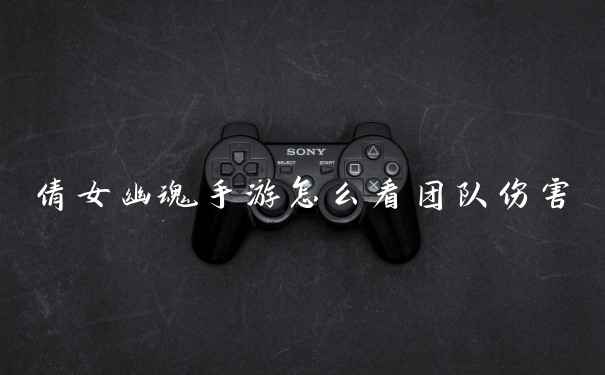 倩女幽魂手游怎么看团队伤害