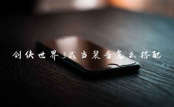 剑侠世界3武当装备怎么搭配