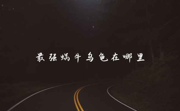 最强蜗牛乌龟在哪里
