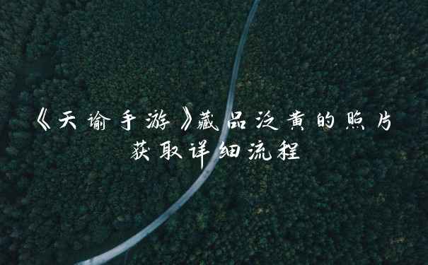 《天谕手游》藏品泛黄的照片获取详细流程