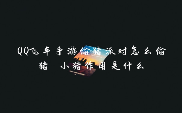 QQ飞车手游偷猪派对怎么偷猪 小猪作用是什么
