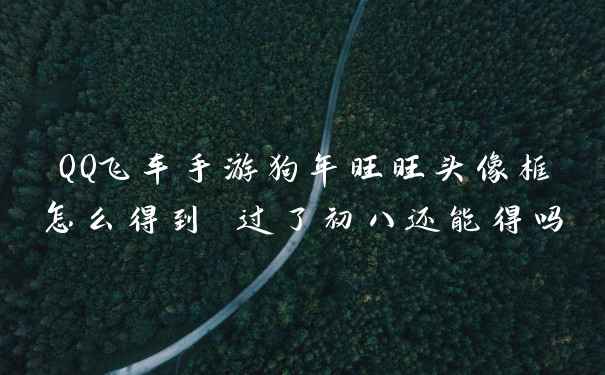 QQ飞车手游狗年旺旺头像框怎么得到 过了初八还能得吗