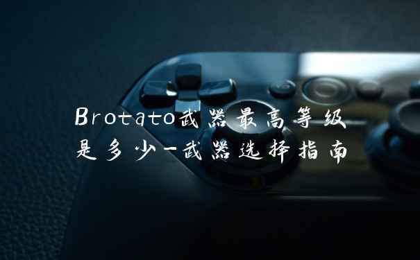 Brotato武器最高等级是多少-武器选择指南