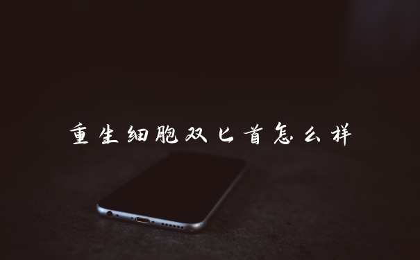 重生细胞双匕首怎么样