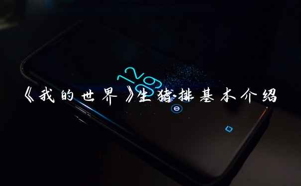 《我的世界》生猪排基本介绍