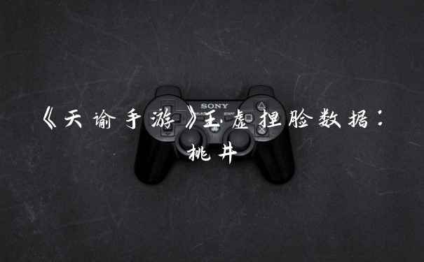《天谕手游》玉虚捏脸数据:桃井