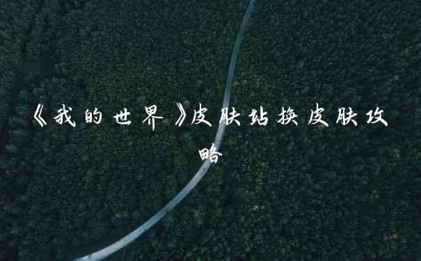 《我的世界》皮肤站换皮肤攻略