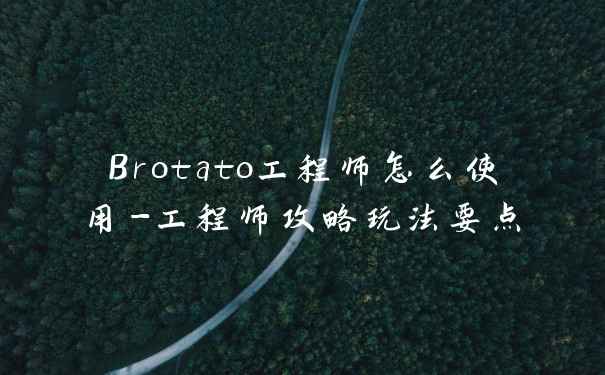 Brotato工程师怎么使用-工程师攻略玩法要点
