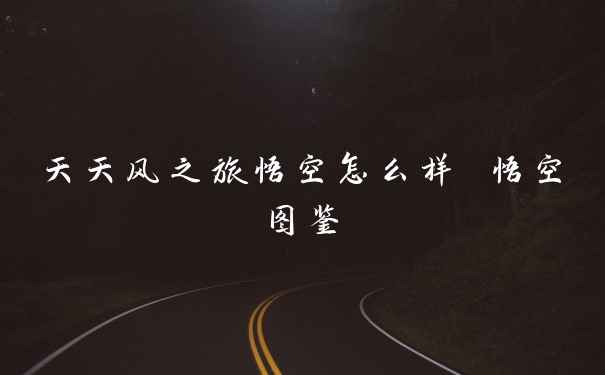 天天风之旅悟空怎么样 悟空图鉴