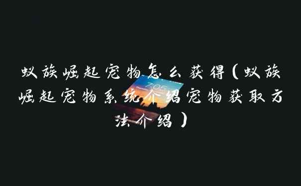 蚁族崛起宠物怎么获得（蚁族崛起宠物系统介绍宠物获取方法介绍）