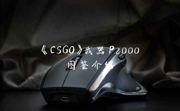 《CSGO》武器P2000图鉴介绍