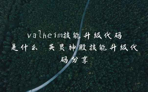 valheim技能升级代码是什么 英灵神殿技能升级代码分享