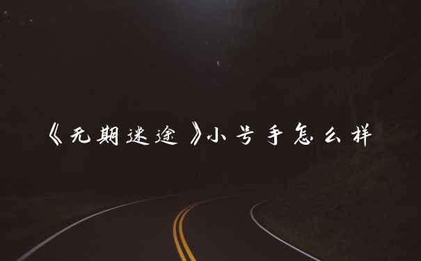 《无期迷途》小号手怎么样