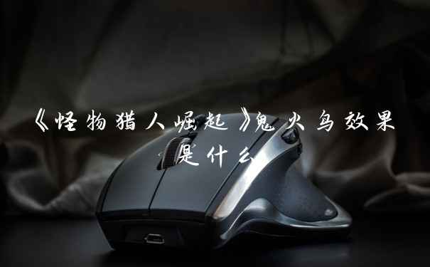 《怪物猎人崛起》鬼火鸟效果是什么