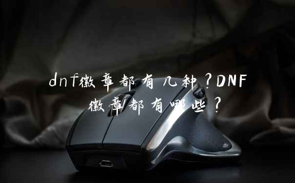 dnf徽章都有几种？DNF 徽章都有哪些？