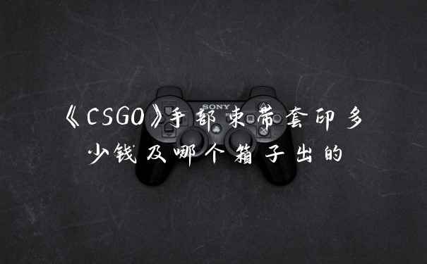 《CSGO》手部束带套印多少钱及哪个箱子出的