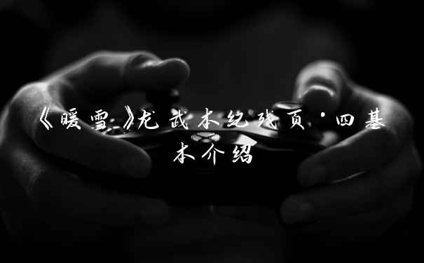 《暖雪》龙武本纪残页·四基本介绍