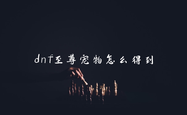 dnf至尊宠物怎么得到