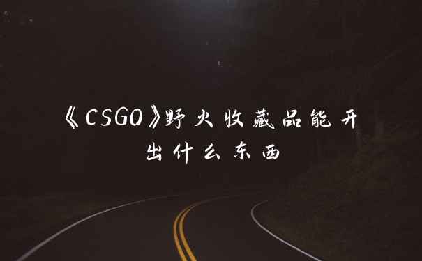 《CSGO》野火收藏品能开出什么东西