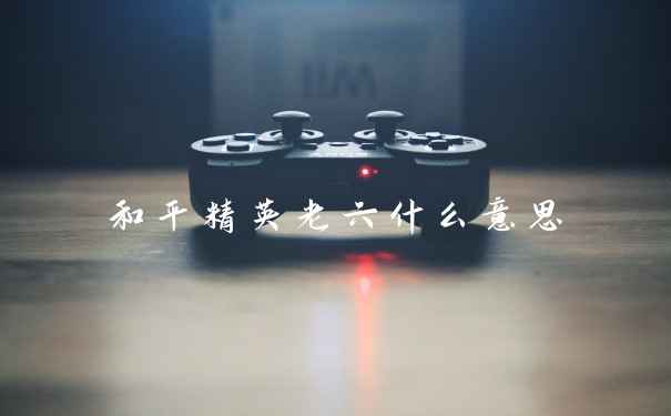 和平精英老六什么意思