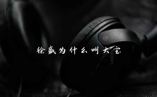 徐盛为什么叫大宝