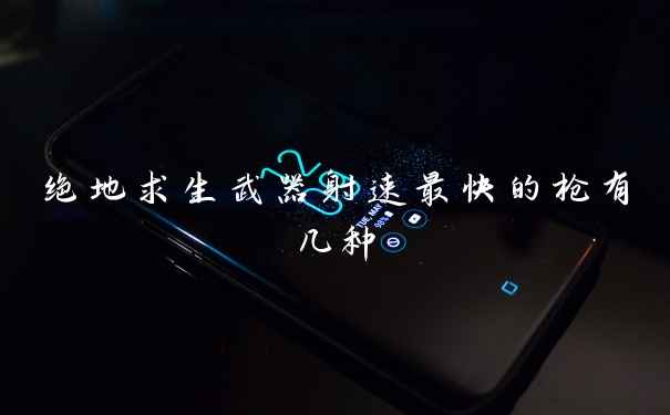 绝地求生武器射速最快的枪有几种