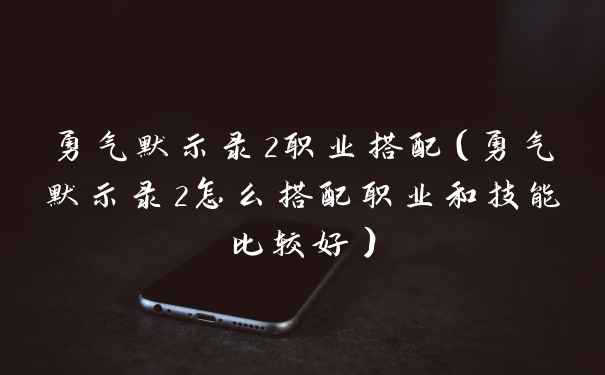 勇气默示录2职业搭配（勇气默示录2怎么搭配职业和技能比较好）