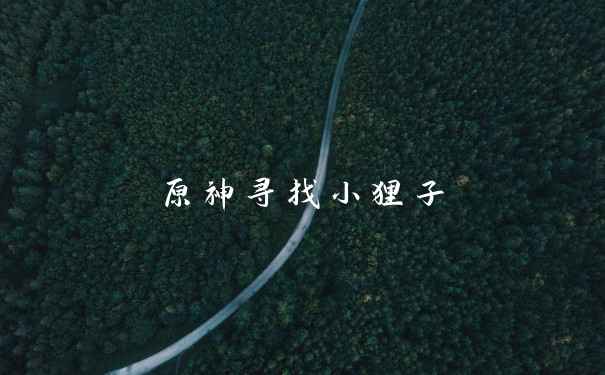 原神寻找小狸子