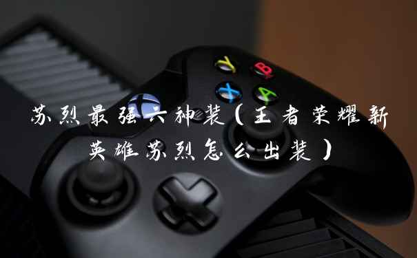 苏烈最强六神装（王者荣耀新英雄苏烈怎么出装）