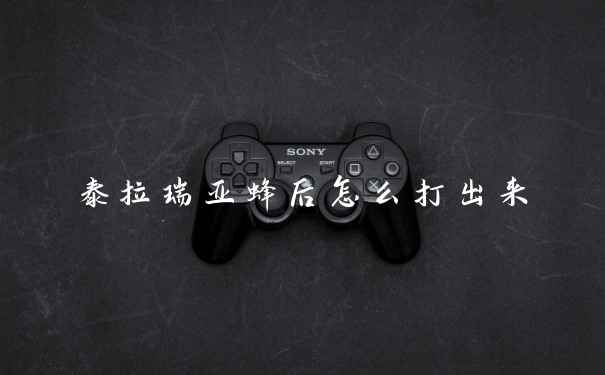 泰拉瑞亚蜂后怎么打出来