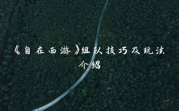 《自在西游》组队技巧及玩法介绍