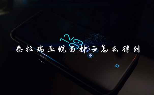 泰拉瑞亚幌菊种子怎么得到