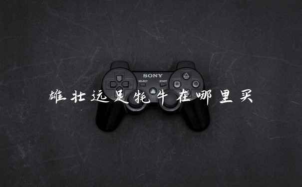 雄壮远足牦牛在哪里买